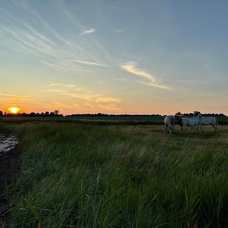 Nedlagt Gard I Naturen Med Ro Og Fred Og Samtidig Taet Pa Strand Og Fiskeri Og Indkobsmuligheder Nordborg Kommune Exterior foto